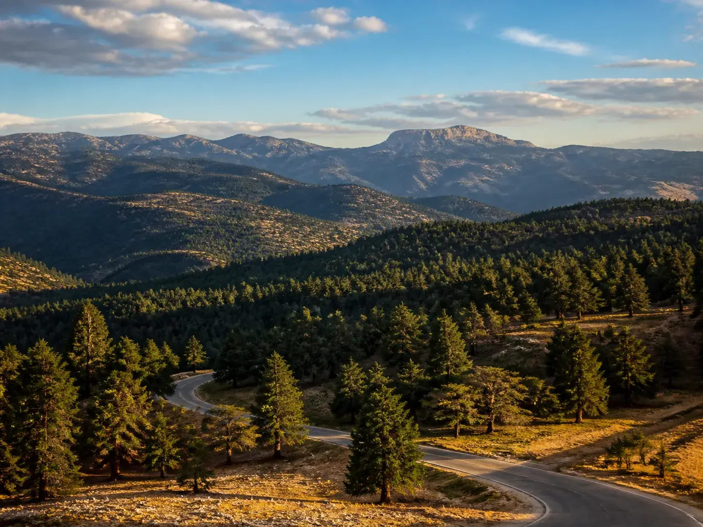 Un paysage éditorial du Moyen Atlas : forêt de cèdres, reliefs superposés et route sinueuse dans la lumière de fin de journée.
